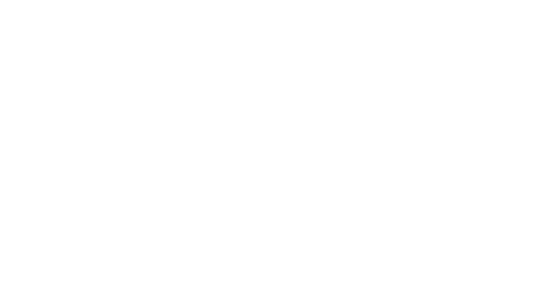 logo AUTOPNEU Novák