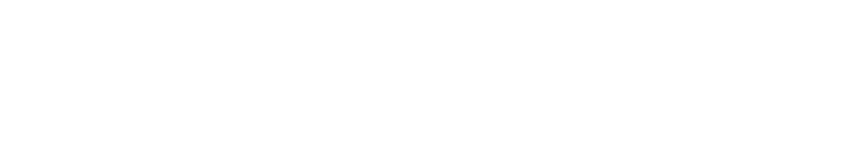 logo LEVELS