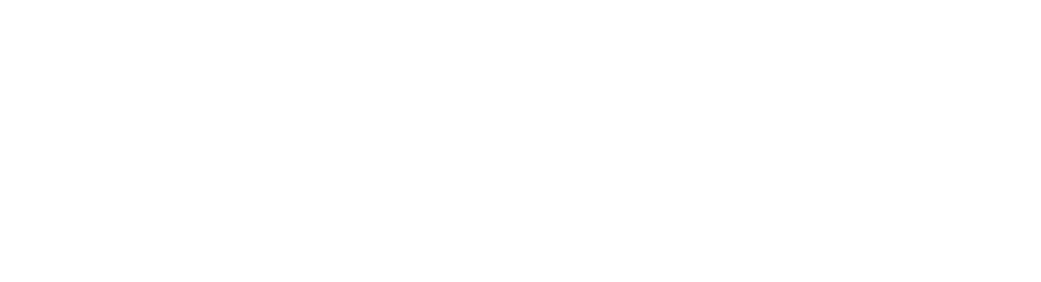 logo overoptic