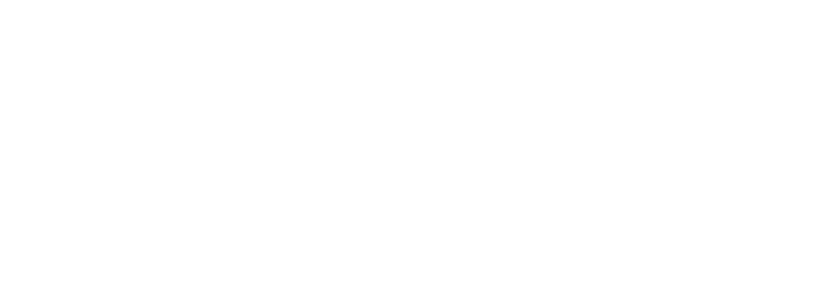 logo PROTECH ALARMS