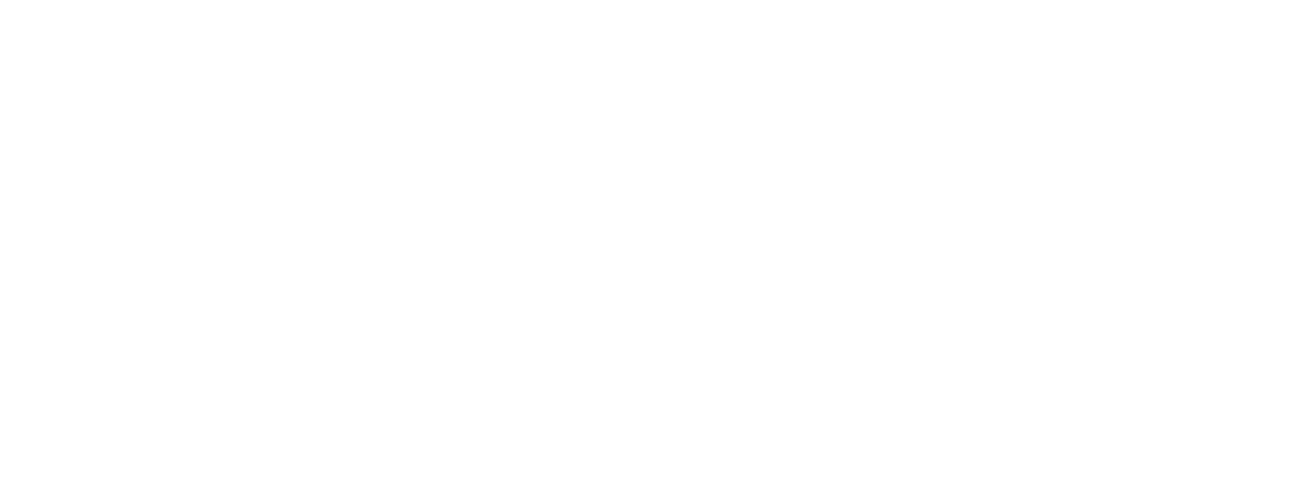 logo FUTURE PORT YOUTH