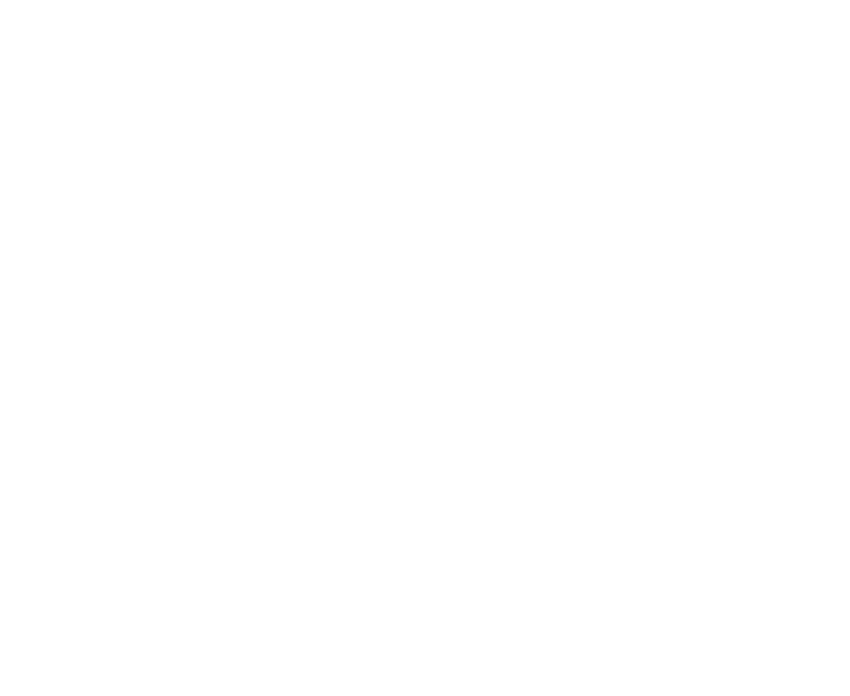 logo Rterra