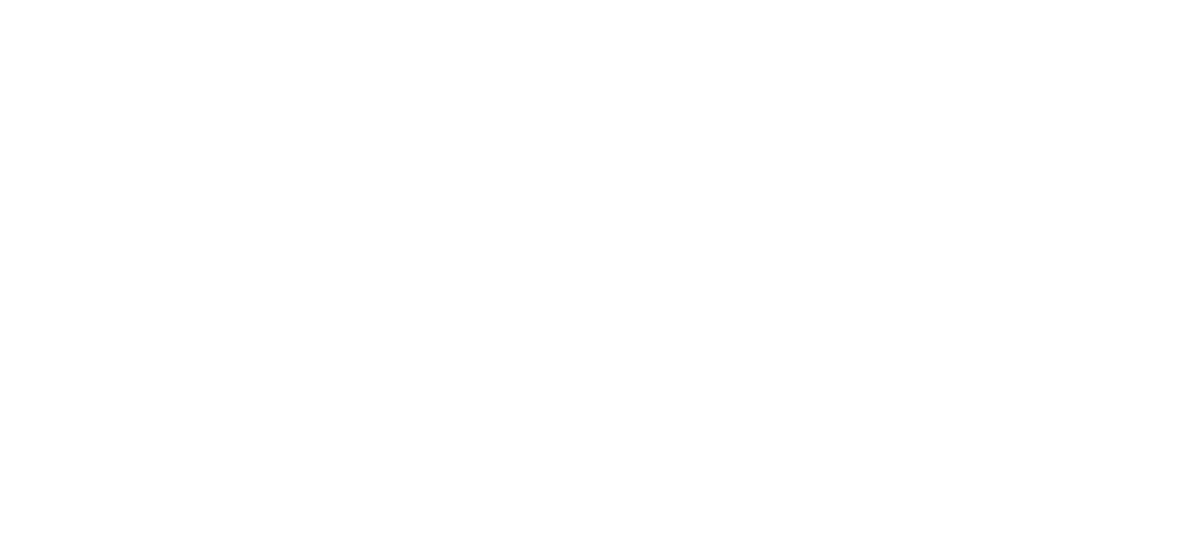 logo Solair Conference